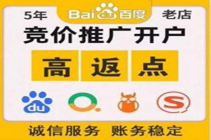 SEM托管服务，成功案例见证转化奇迹